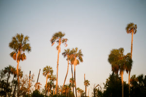 Crystal River at Dusk