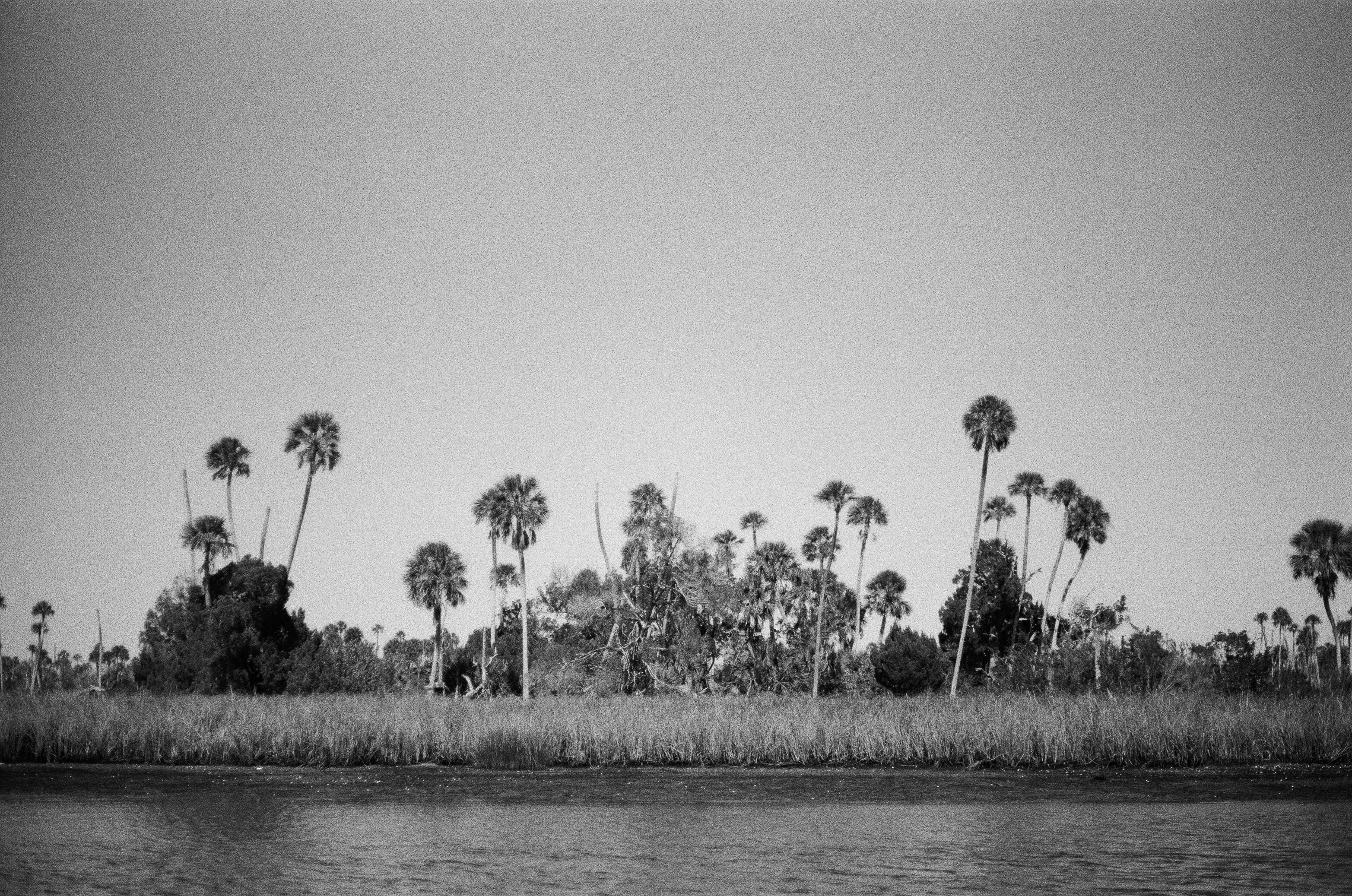 Crystal River in B/W